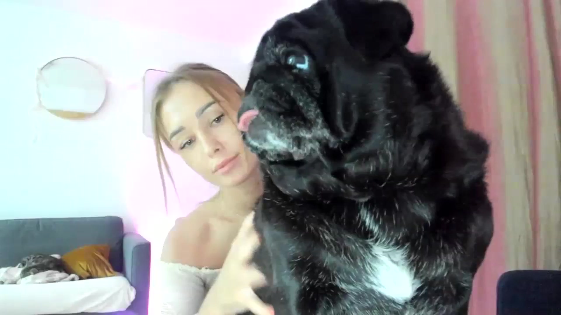 Gallery image thumbnail from AAA_Yas's myfreecams stream on, 12/06/2023, 23:33 image 20 of 20