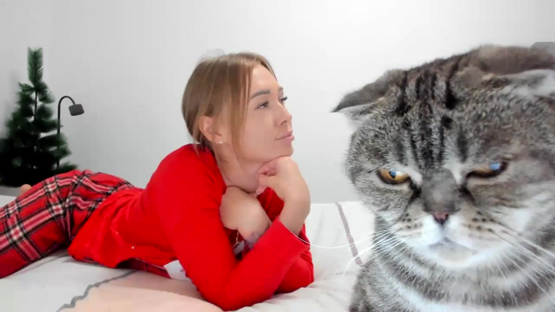 Gallery image thumbnail from AAA_Yas's myfreecams stream on, 12/26/2023, 22:19 image 7 of 20