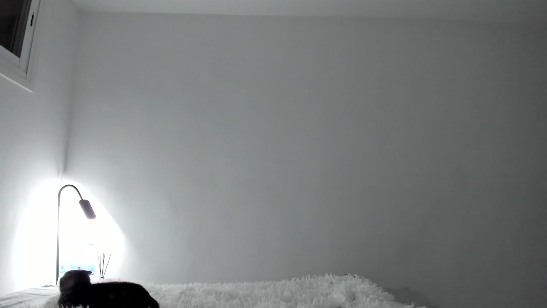Gallery image thumbnail from AAA_Yas's myfreecams stream on, 03/30/2024, 20:02 image 16 of 20