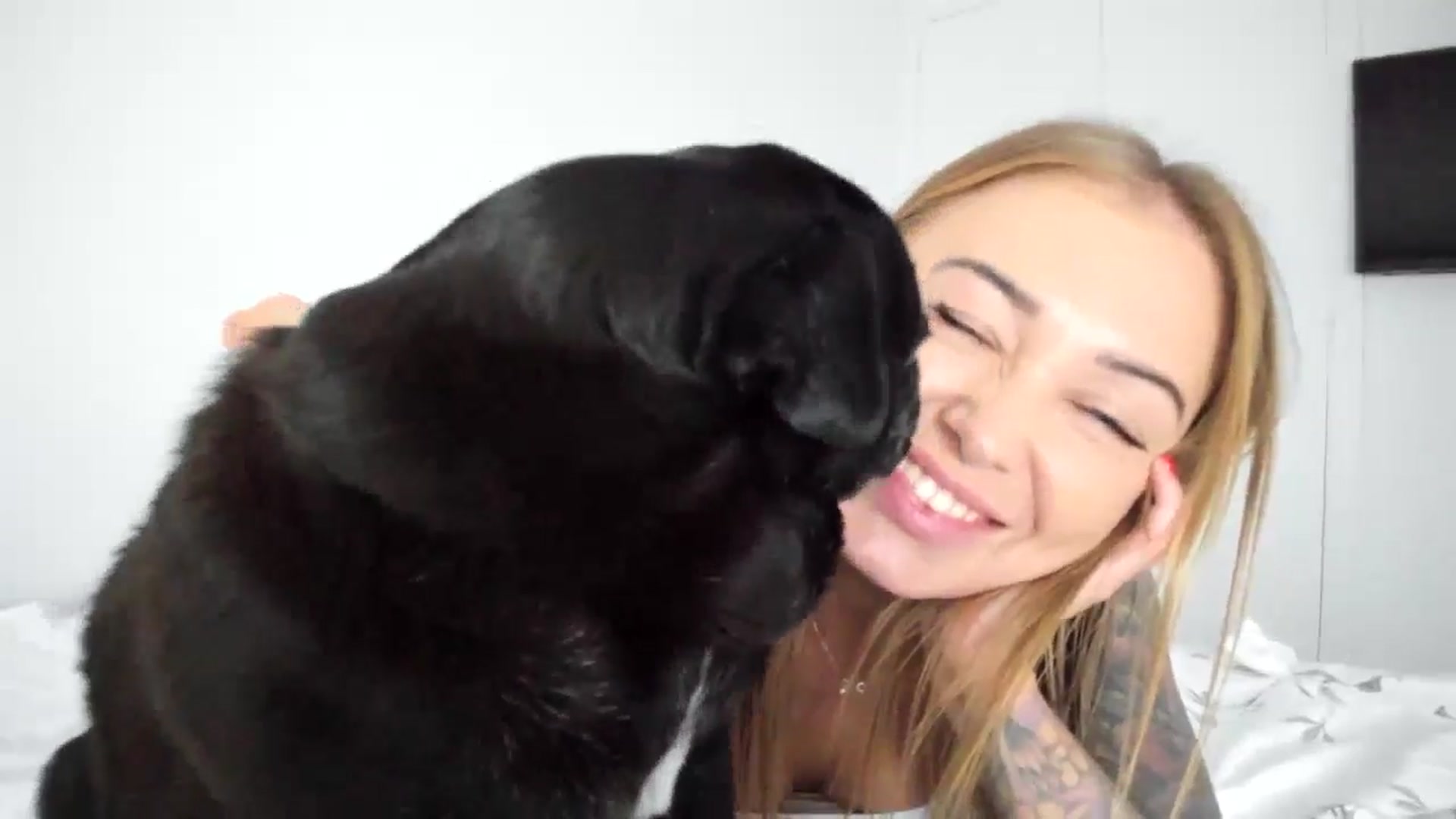 Gallery image thumbnail from AAA_Yas's myfreecams stream on, 04/17/2024, 23:01 image 11 of 20