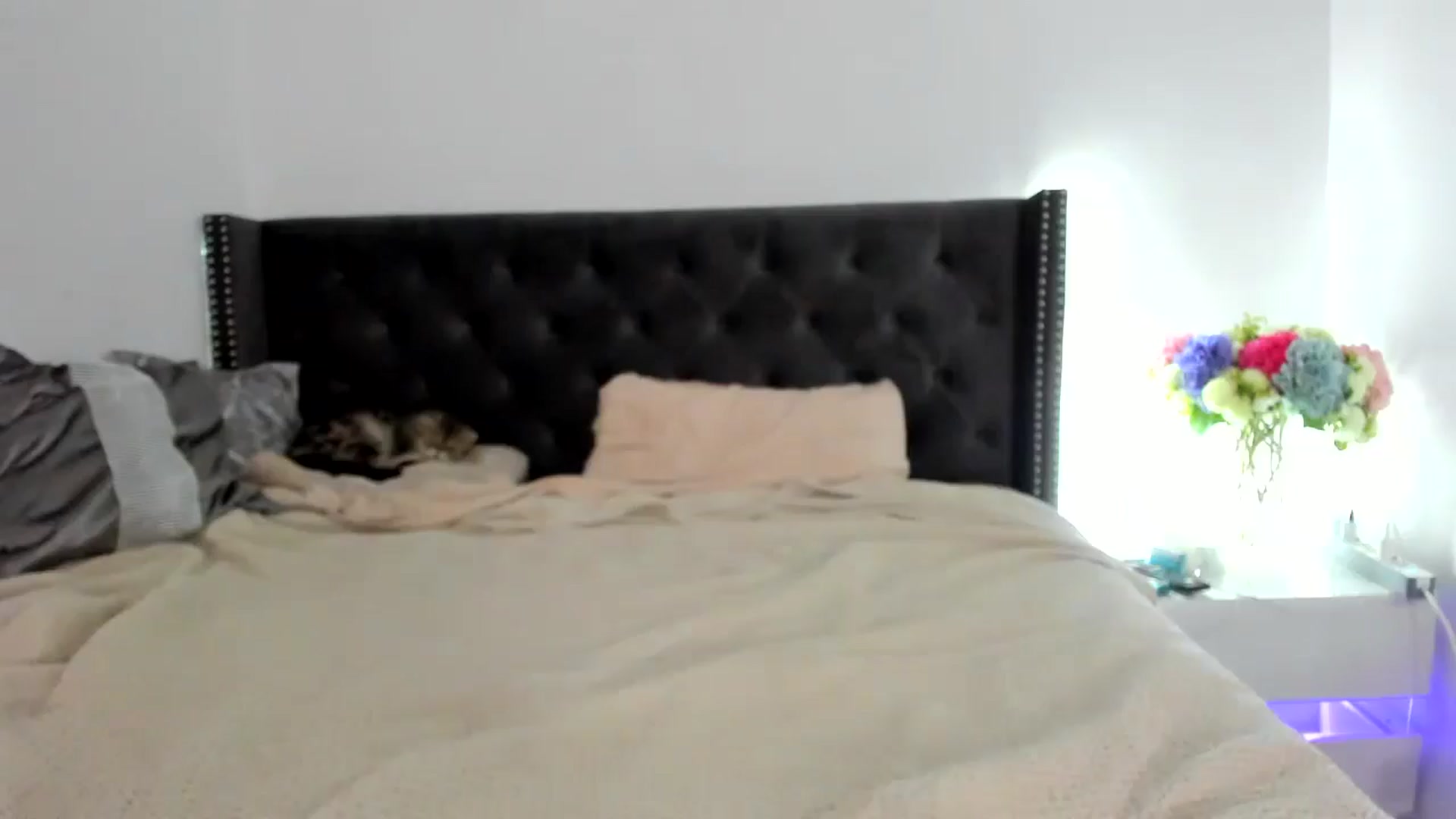 Gallery image thumbnail from AAA_Yas's myfreecams stream on, 10/12/2024, 19:55 image 3 of 20