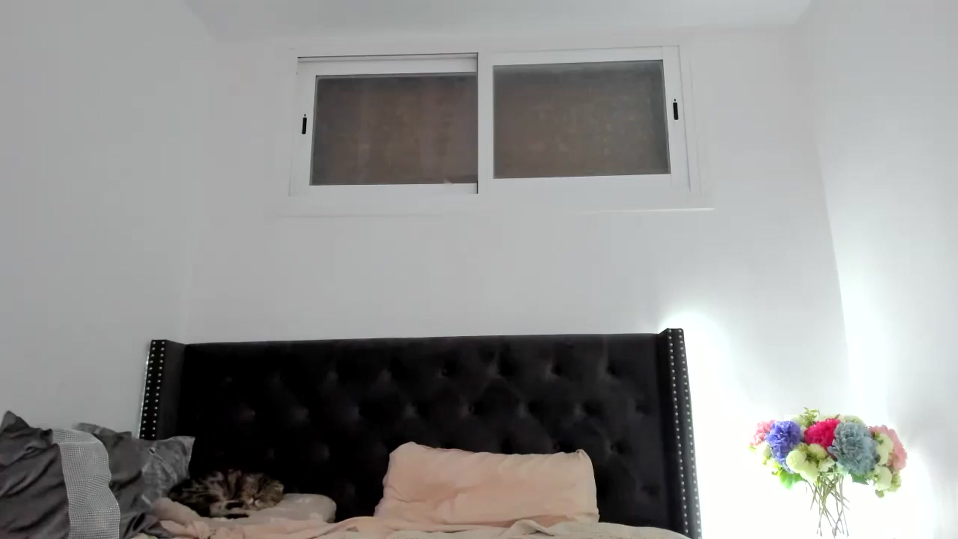 Gallery image thumbnail from AAA_Yas's myfreecams stream on, 10/12/2024, 19:55 image 7 of 20