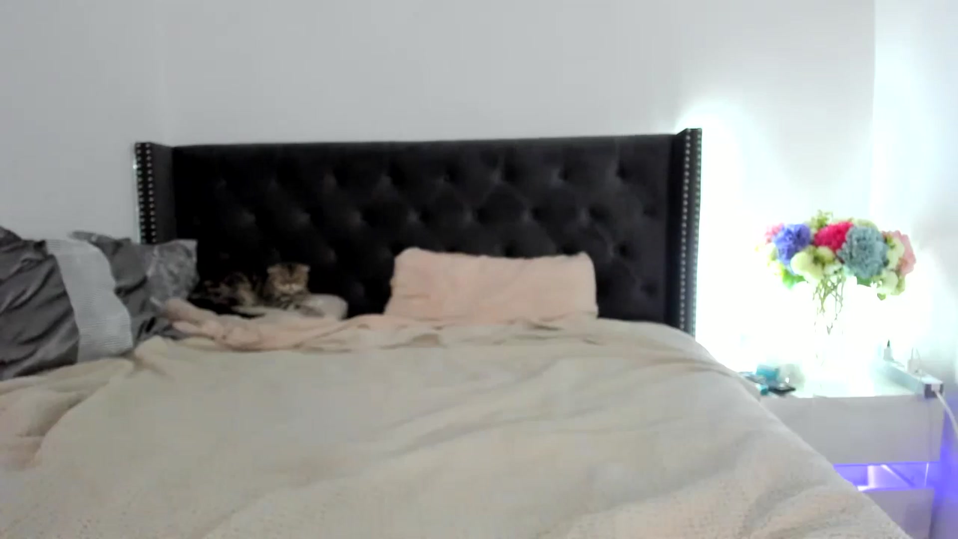 Gallery image thumbnail from AAA_Yas's myfreecams stream on, 10/12/2024, 19:55 image 4 of 20