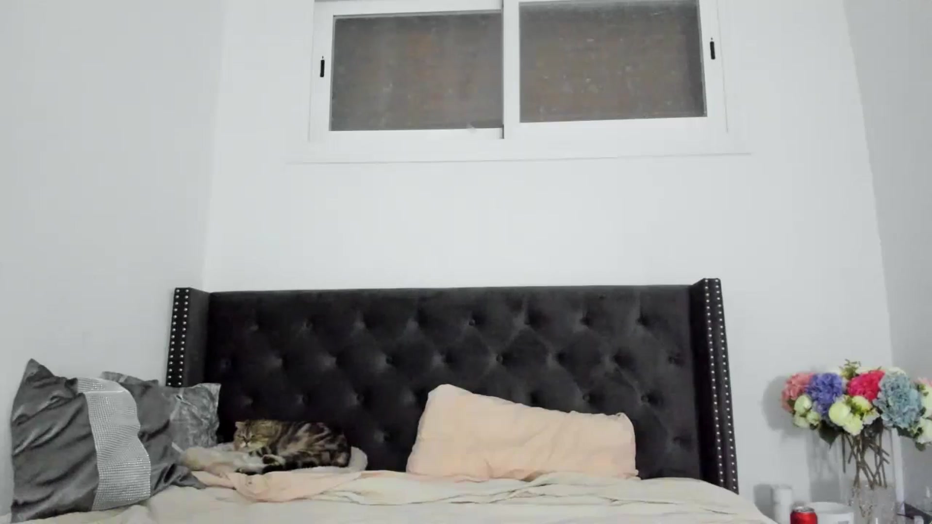 Gallery image thumbnail from AAA_Yas's myfreecams stream on, 10/12/2024, 23:32 image 20 of 20