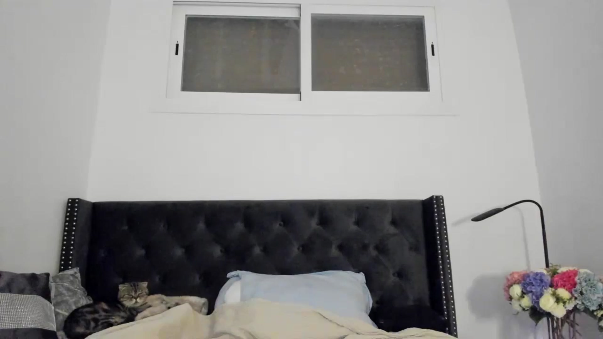 Gallery image thumbnail from AAA_Yas's myfreecams stream on, 10/18/2024, 20:11 image 2 of 20
