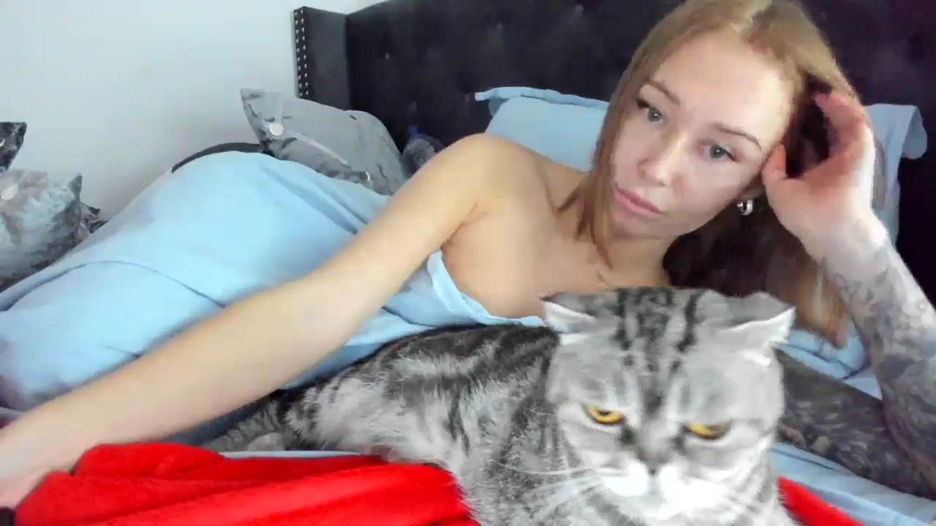 Gallery image thumbnail from AAA_Yas's myfreecams stream on, 11/06/2024, 23:19 image 11 of 20