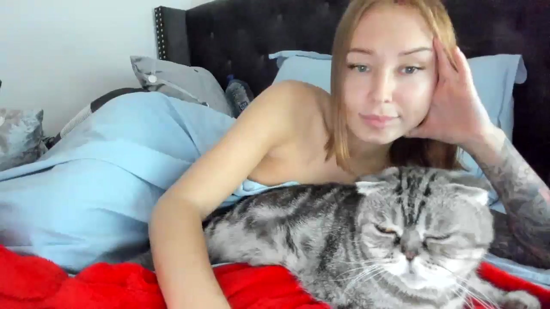 Gallery image thumbnail from AAA_Yas's myfreecams stream on, 11/06/2024, 23:19 image 12 of 20