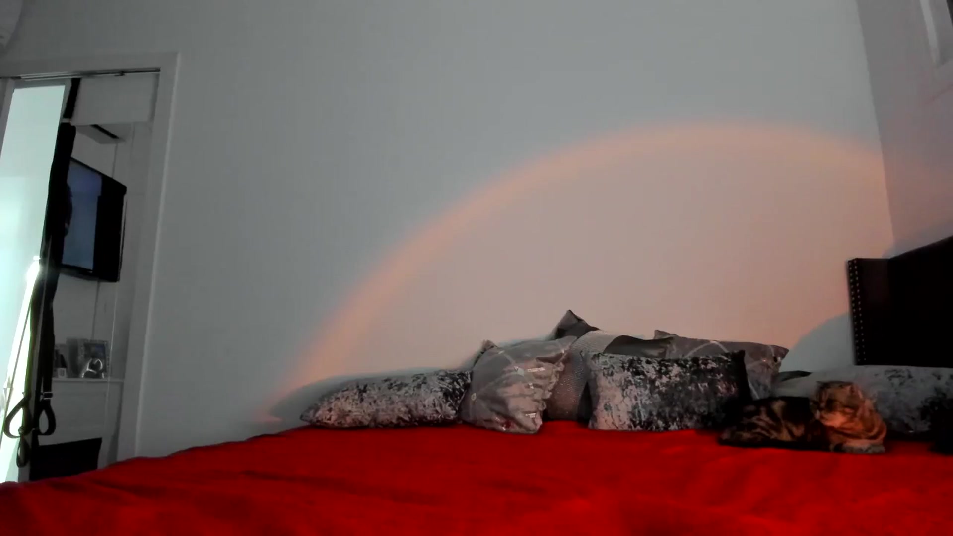 Gallery image thumbnail from AAA_Yas's myfreecams stream on, 11/16/2024, 21:05 image 8 of 20