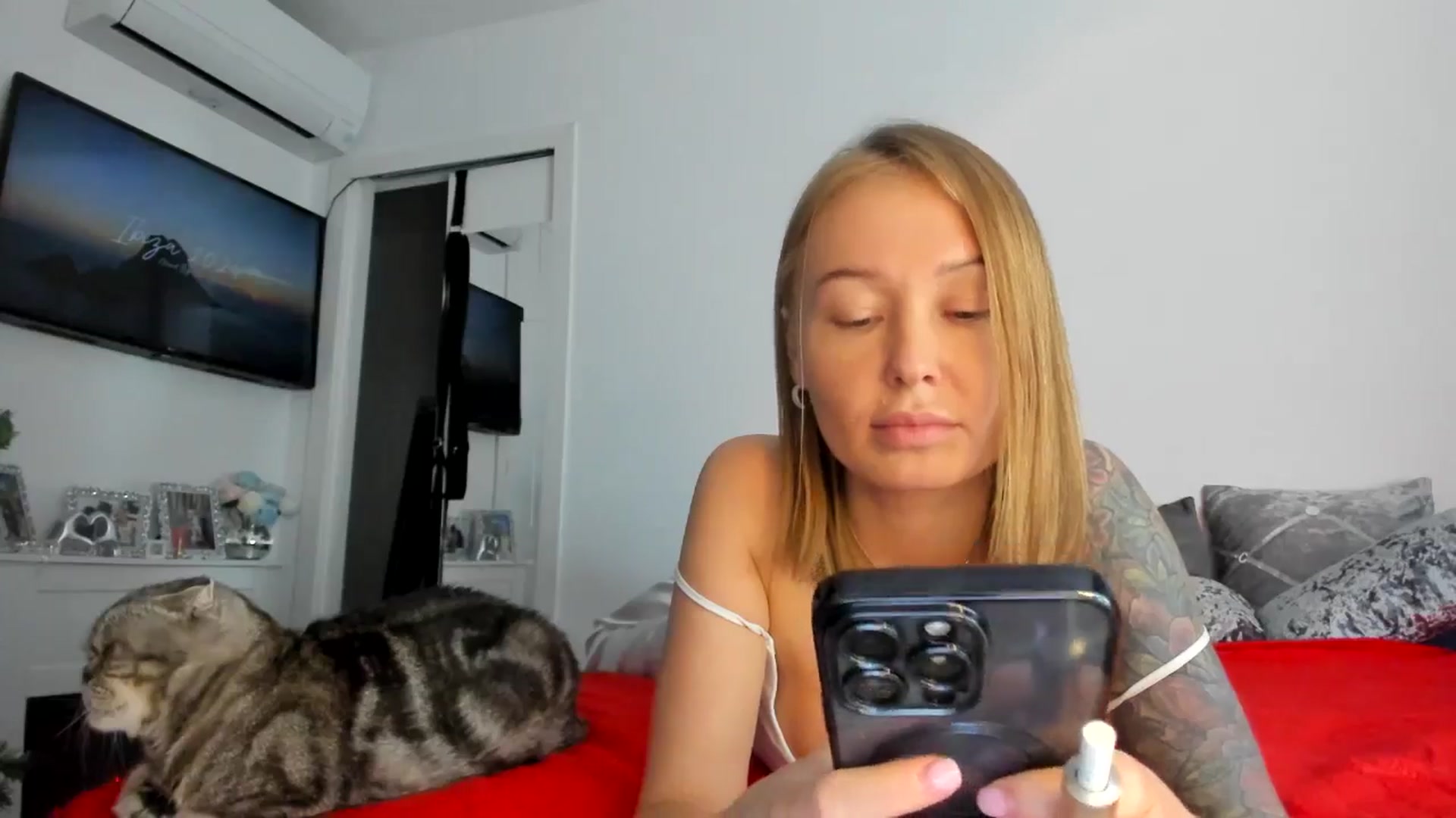 Gallery image thumbnail from AAA_Yas's myfreecams stream on, 11/21/2024, 23:32 image 14 of 20