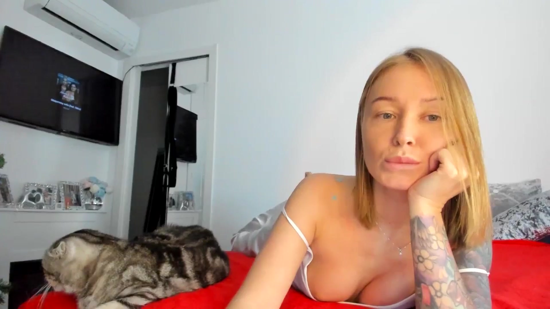 Gallery image thumbnail from AAA_Yas's myfreecams stream on, 11/21/2024, 23:32 image 10 of 20