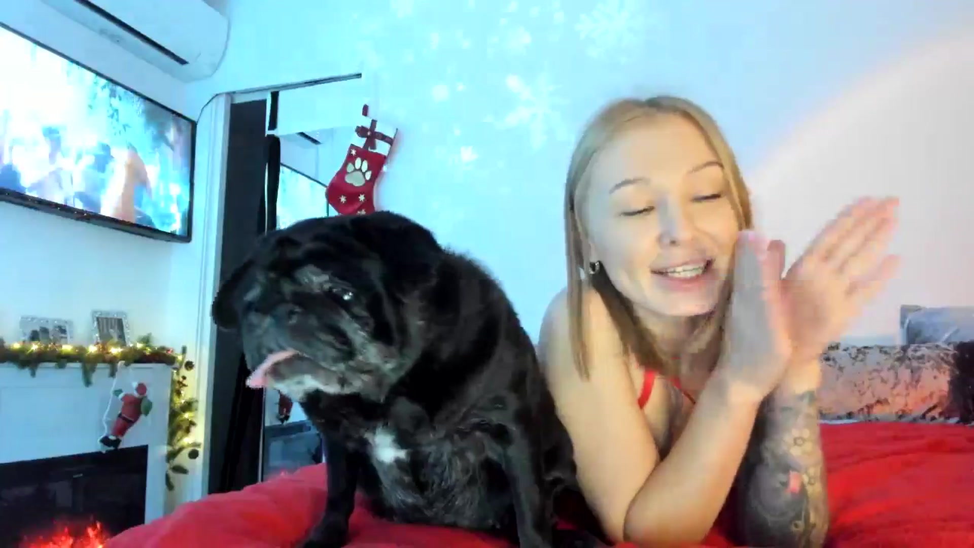 Gallery image thumbnail from AAA_Yas's myfreecams stream on, 11/24/2024, 24:02 image 6 of 20