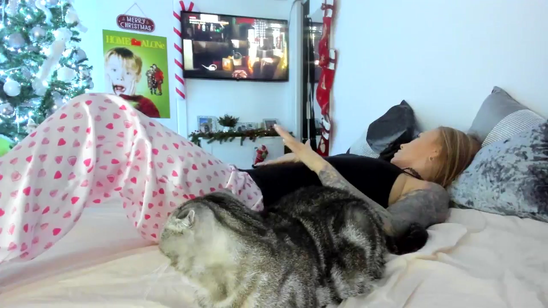 Gallery image thumbnail from AAA_Yas's myfreecams stream on, 12/28/2024, 20:31 image 5 of 20