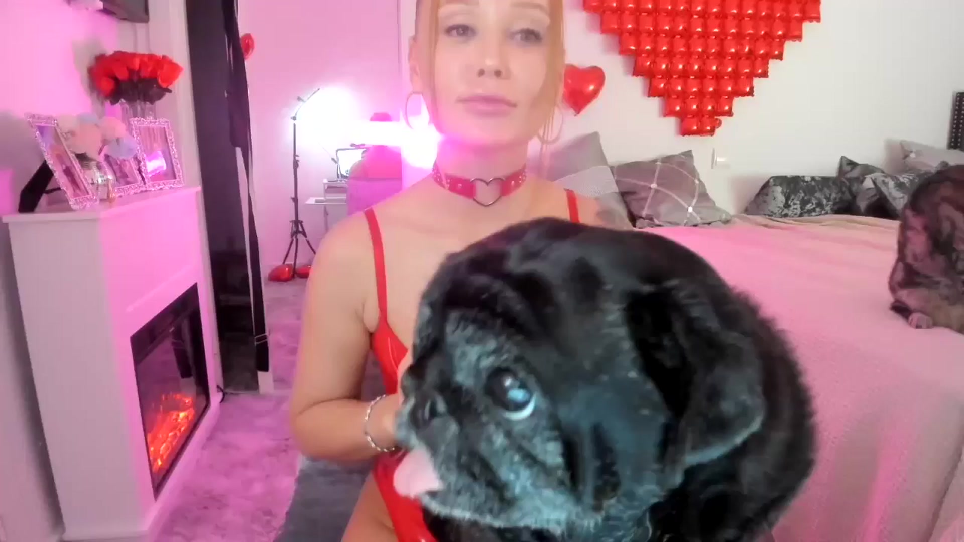 Gallery image thumbnail from AAA_Yas's myfreecams stream on, 02/14/2025, 23:42 image 9 of 20