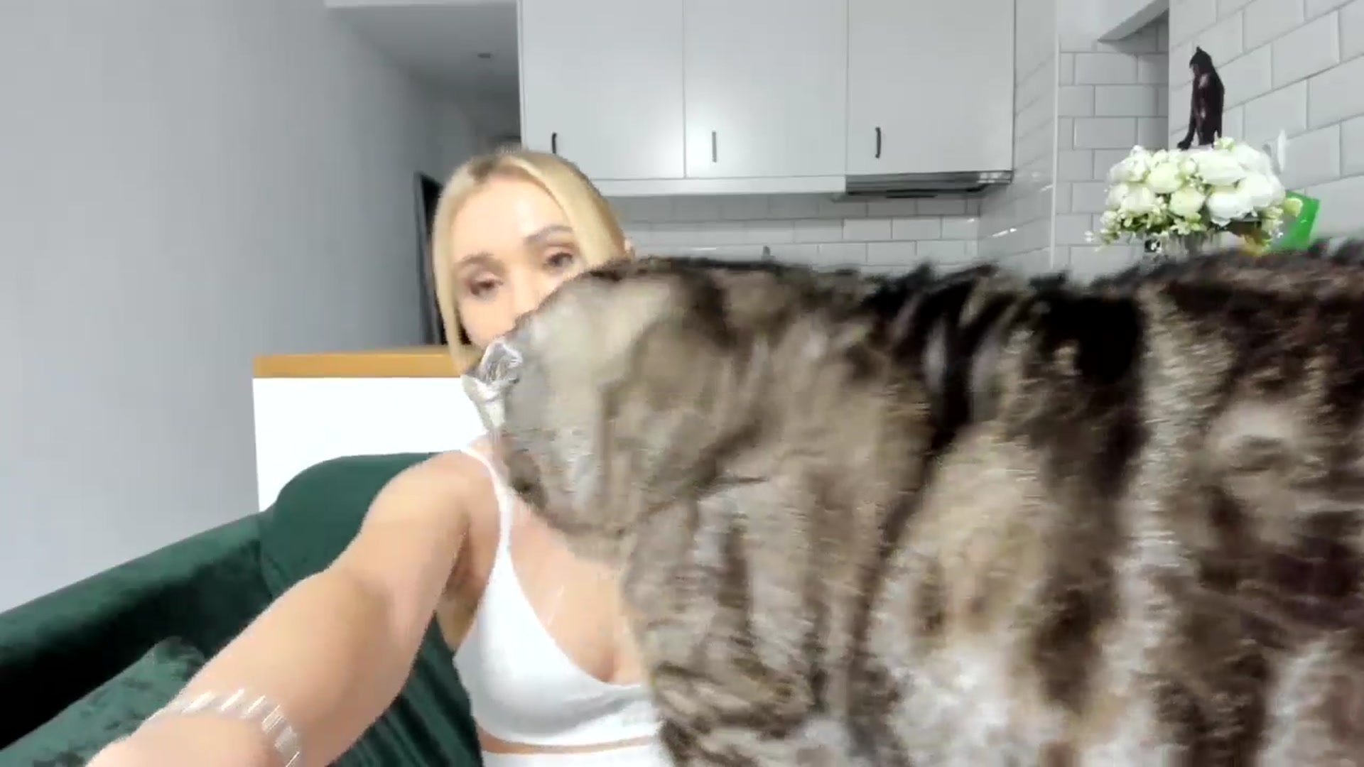 Gallery image thumbnail from AAA_Yas's myfreecams stream on, 04/04/2025, 18:50 image 8 of 20