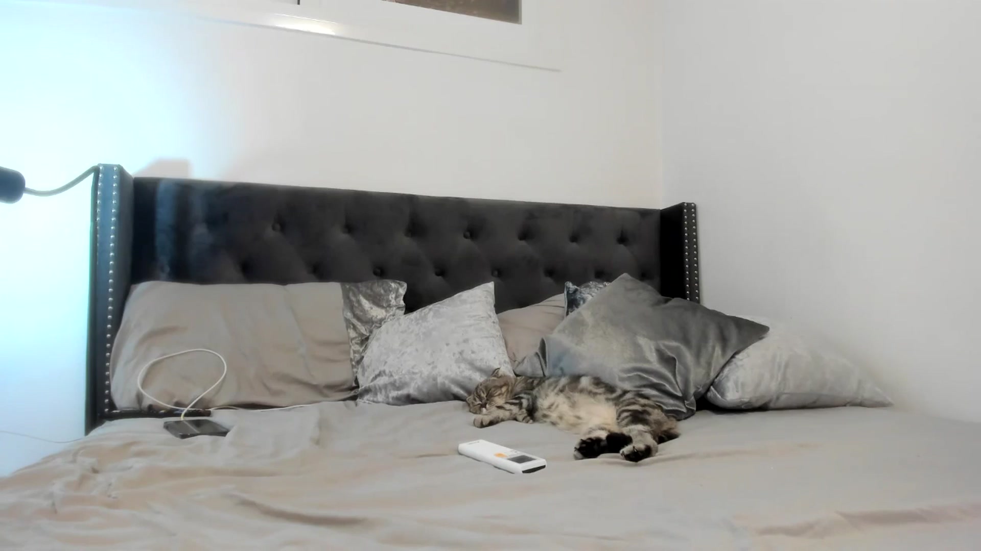 Gallery image thumbnail from AAA_Yas's myfreecams stream on, 08/17/2025, 18:48 image 10 of 20