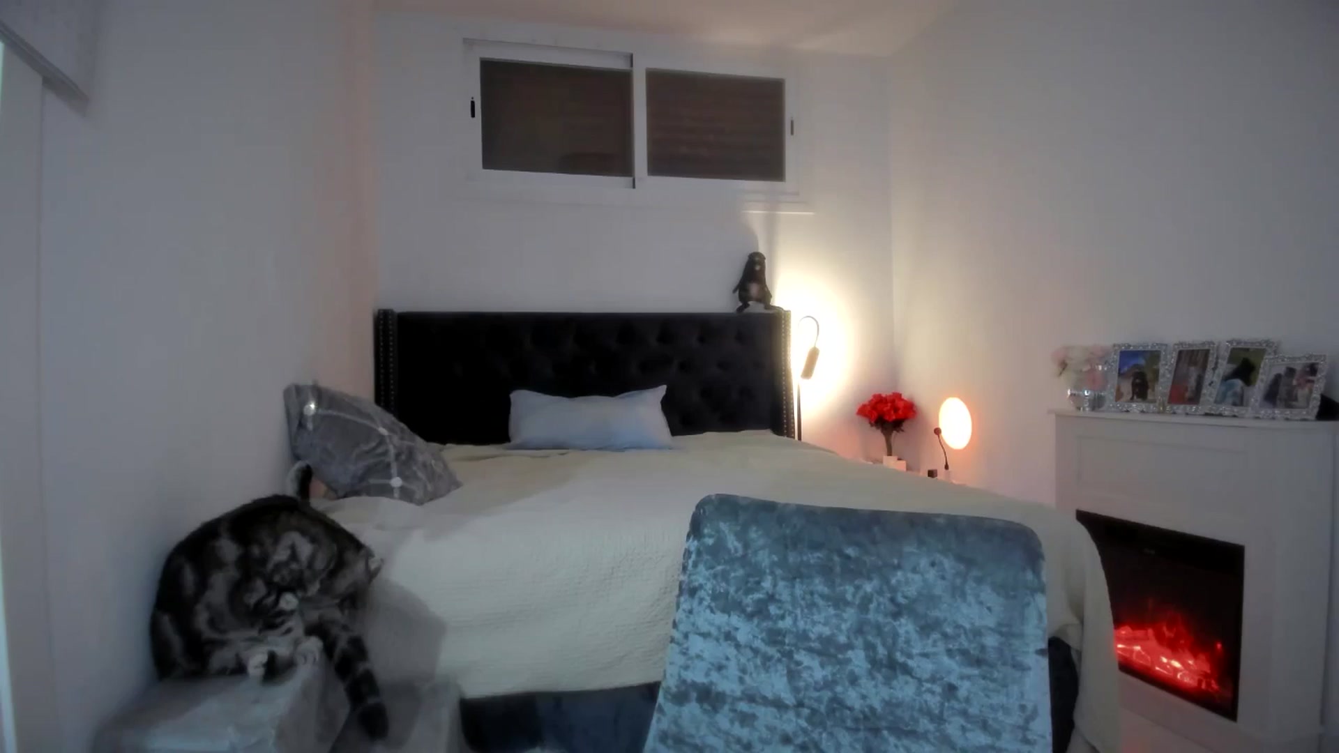 Gallery image thumbnail from AAA_Yas's myfreecams stream on, 09/27/2025, 23:40 image 8 of 20