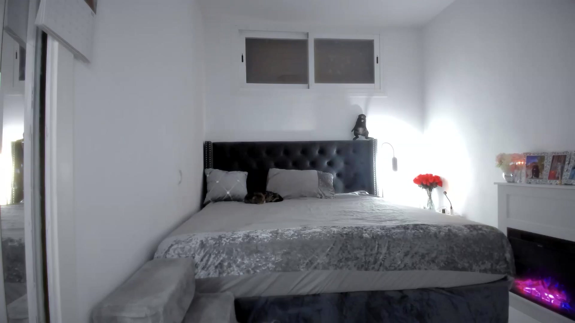 Gallery image thumbnail from AAA_Yas's myfreecams stream on, 09/30/2025, 20:24 image 8 of 20