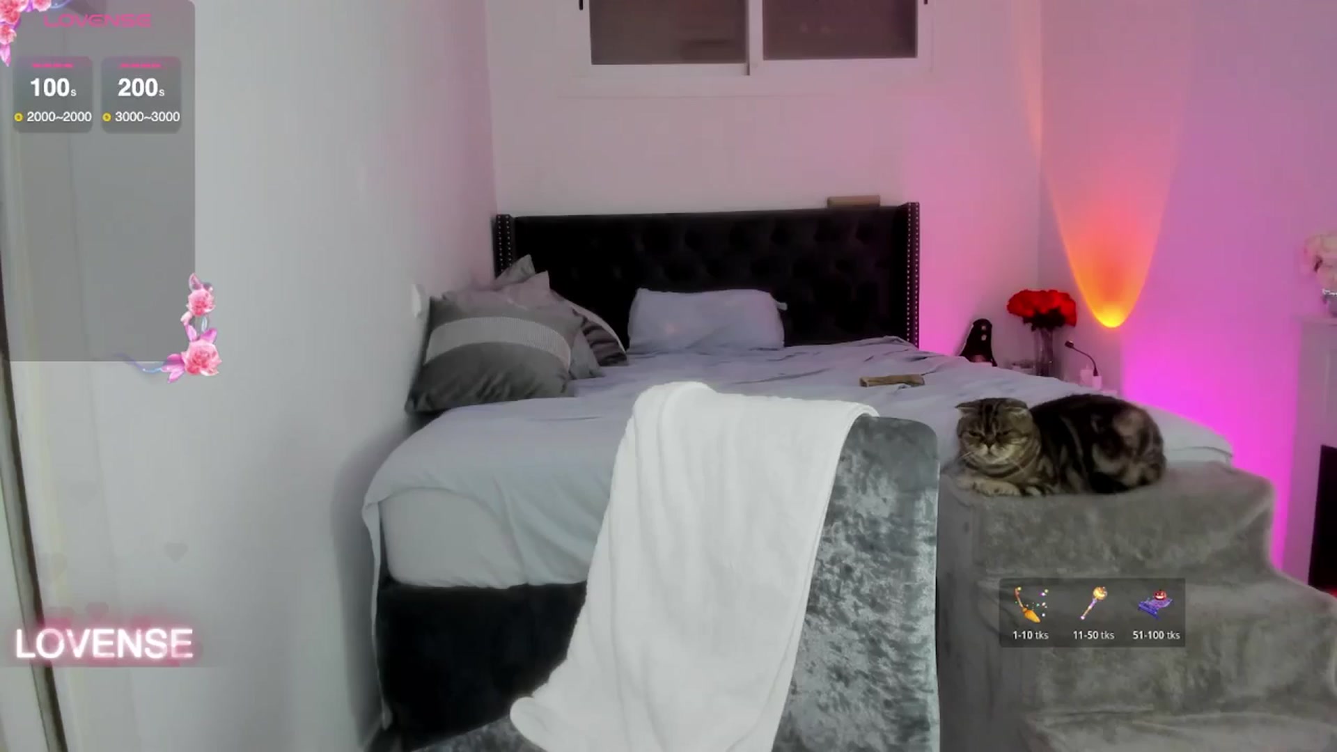 Gallery image thumbnail from AAA_Yas's myfreecams stream on, 11/06/2025, 22:43 image 18 of 20