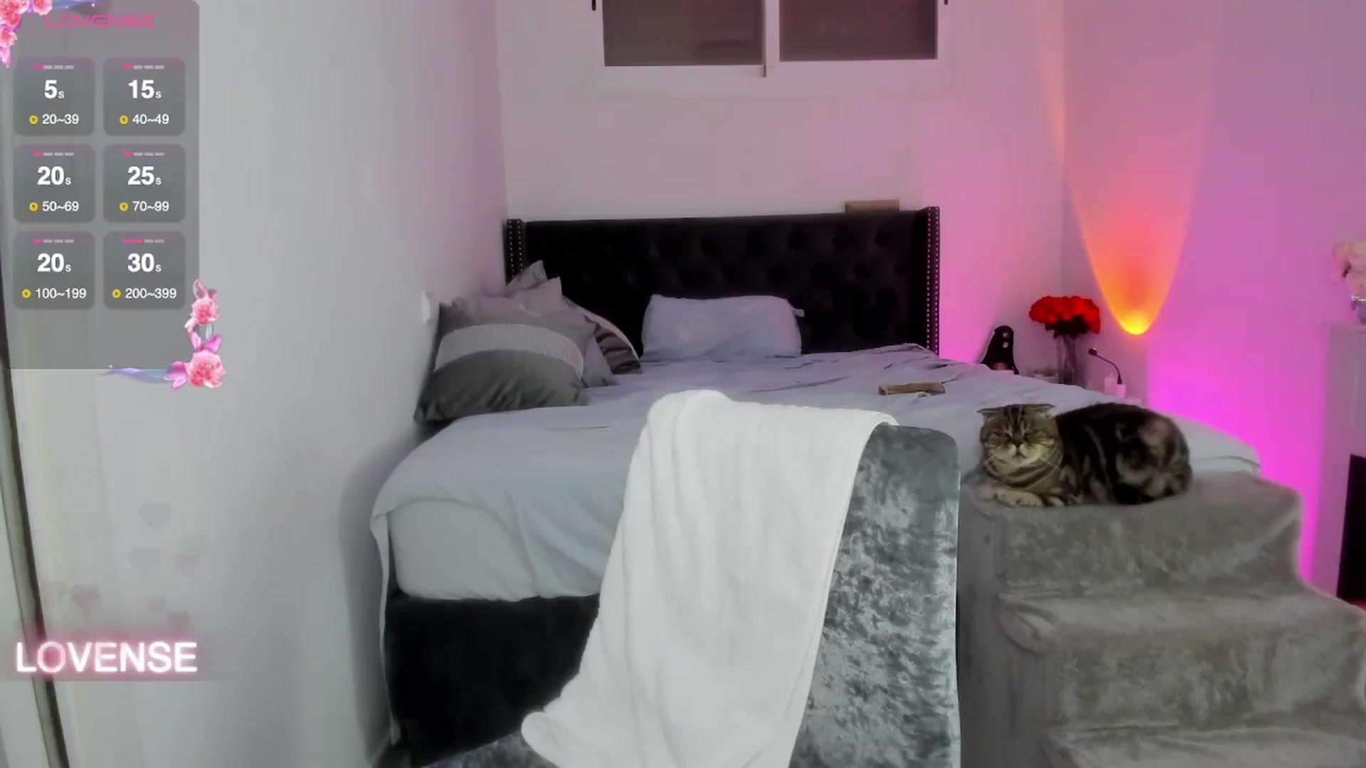 Gallery image thumbnail from AAA_Yas's myfreecams stream on, 11/06/2025, 22:43 image 19 of 20