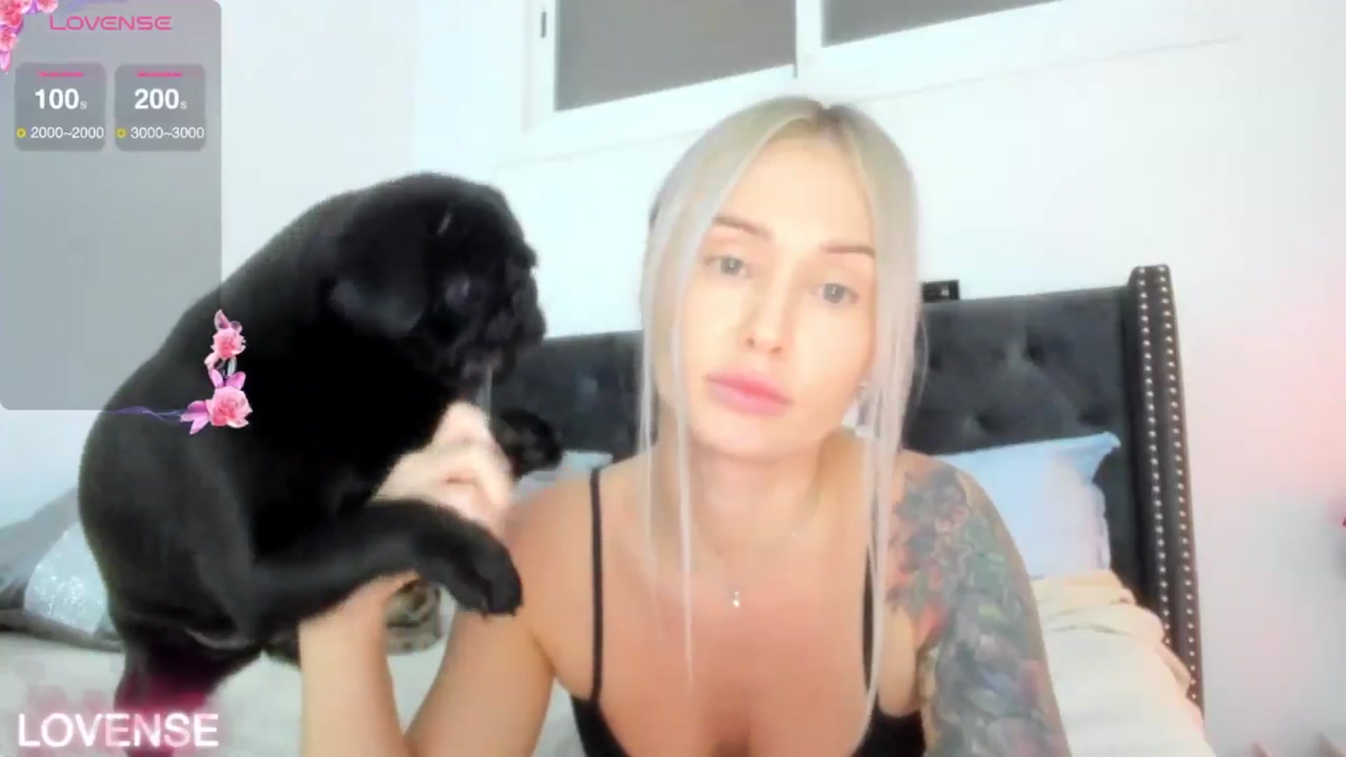 Gallery image thumbnail from AAA_Yas's myfreecams stream on, 11/11/2025, 21:09 image 2 of 20