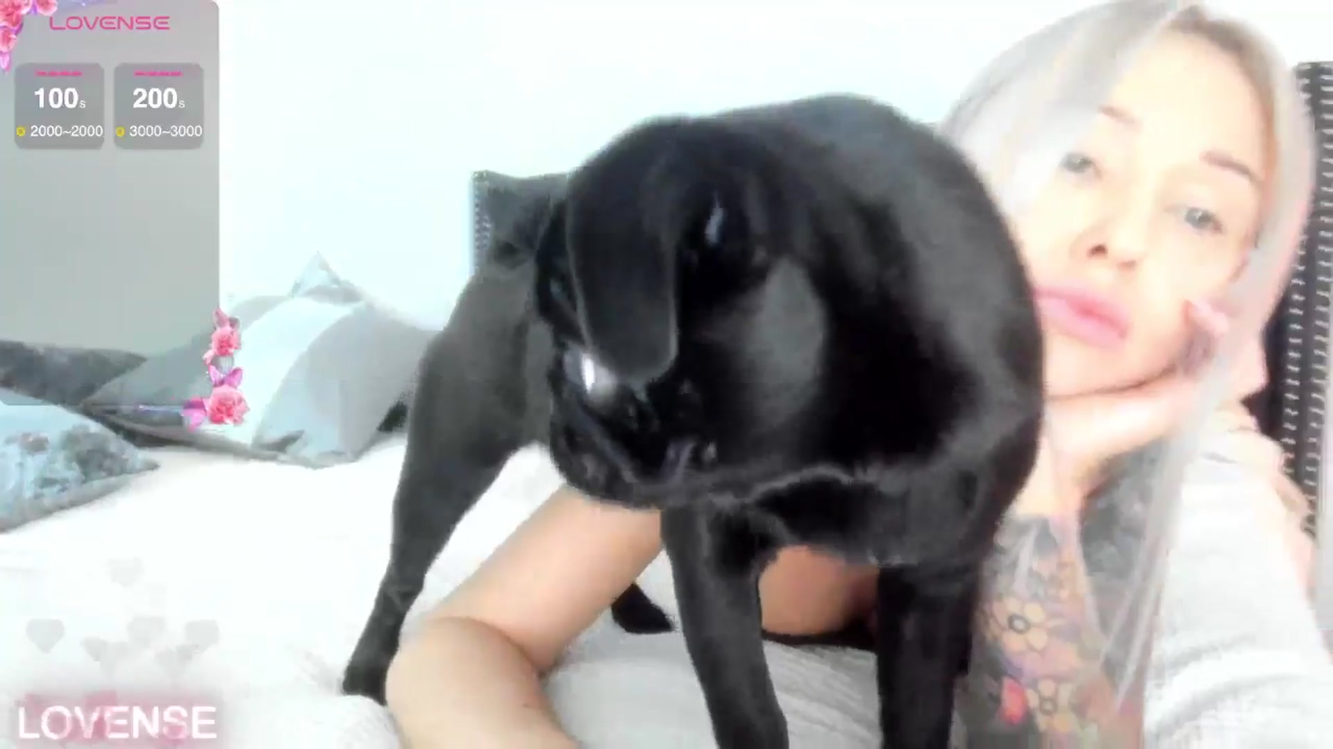 Gallery image thumbnail from AAA_Yas's myfreecams stream on, 11/11/2025, 21:09 image 8 of 20