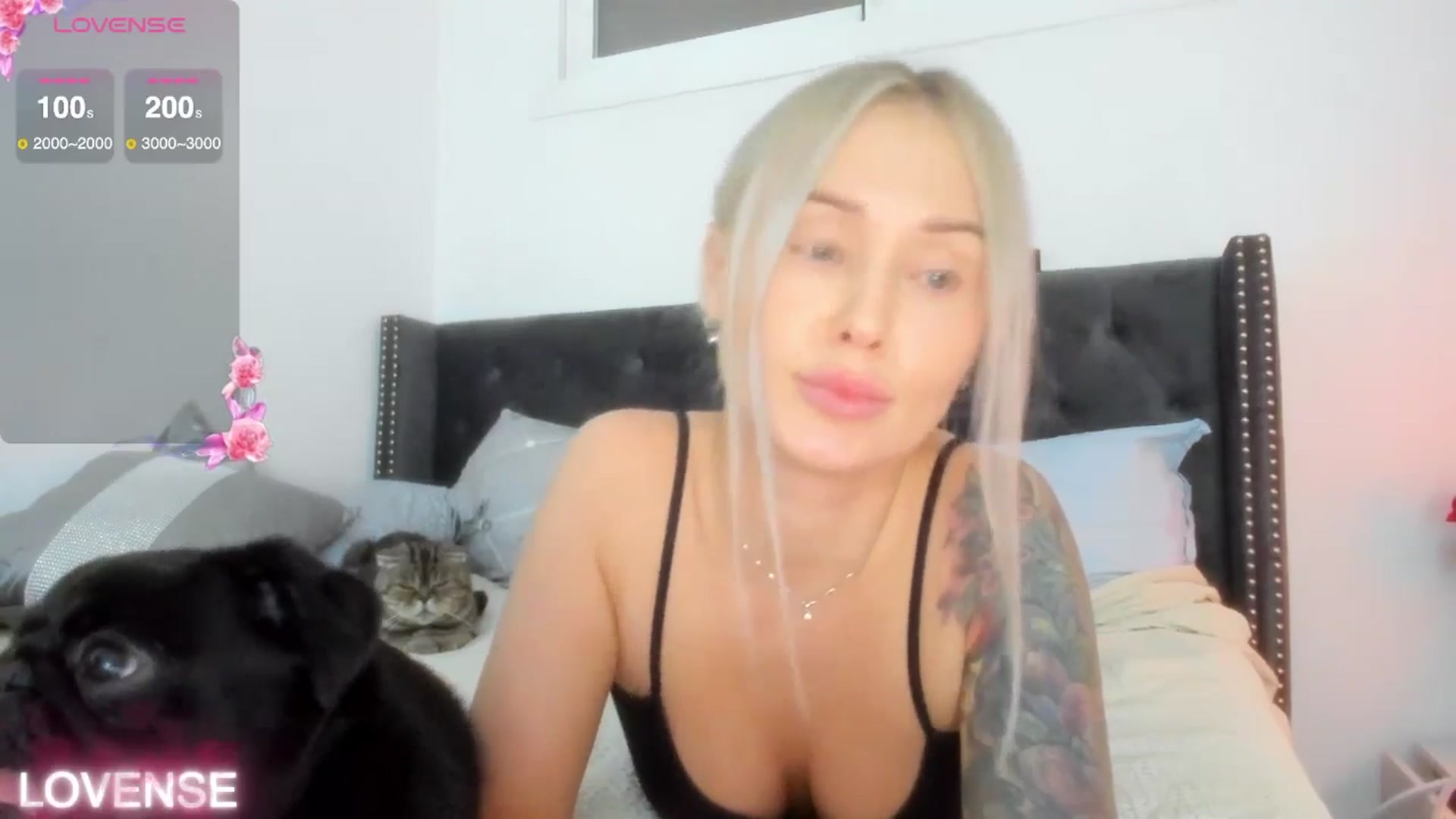 Gallery image thumbnail from AAA_Yas's myfreecams stream on, 11/11/2025, 21:09 image 3 of 20