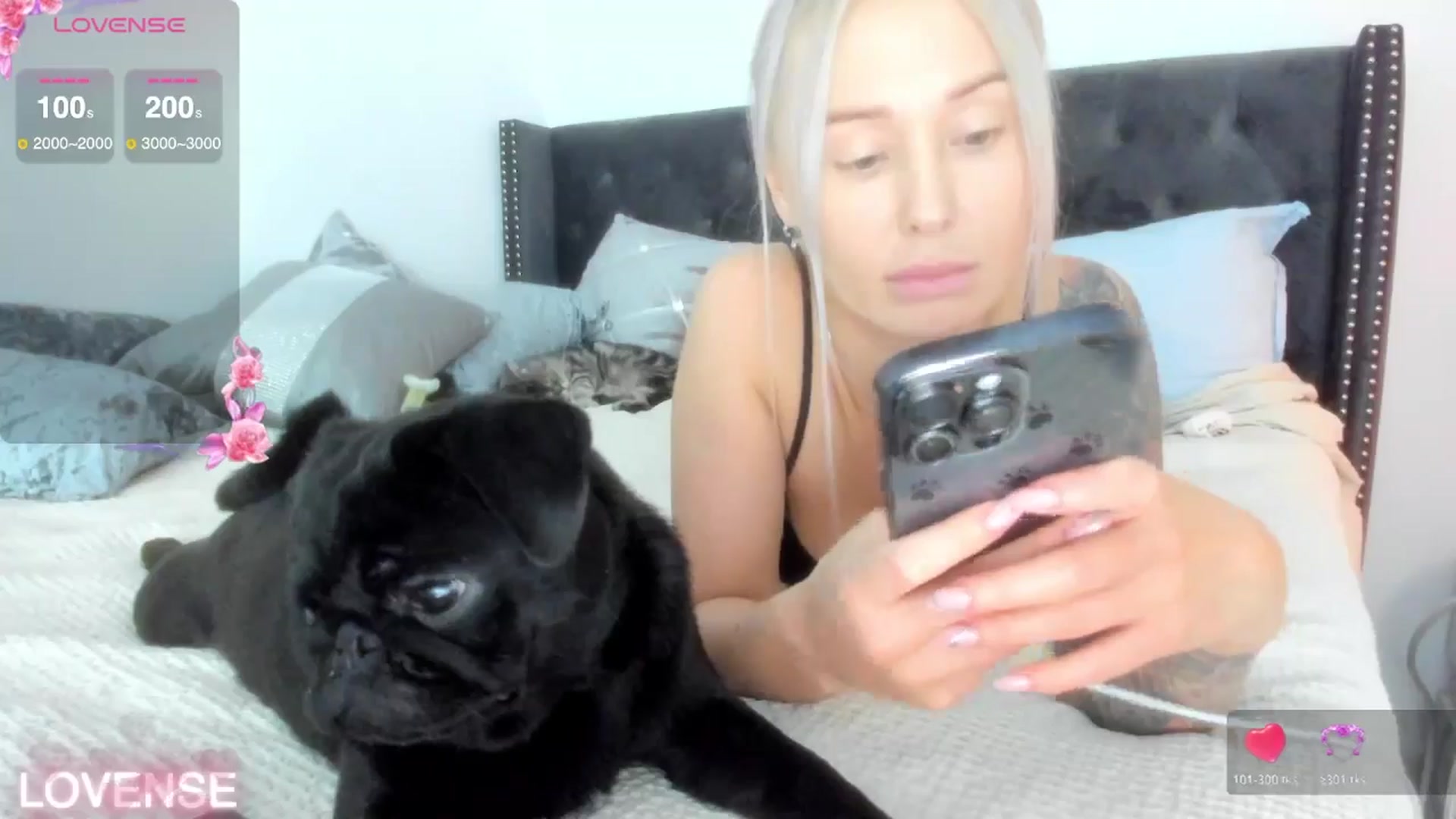 Gallery image thumbnail from AAA_Yas's myfreecams stream on, 11/11/2025, 22:12 image 12 of 20