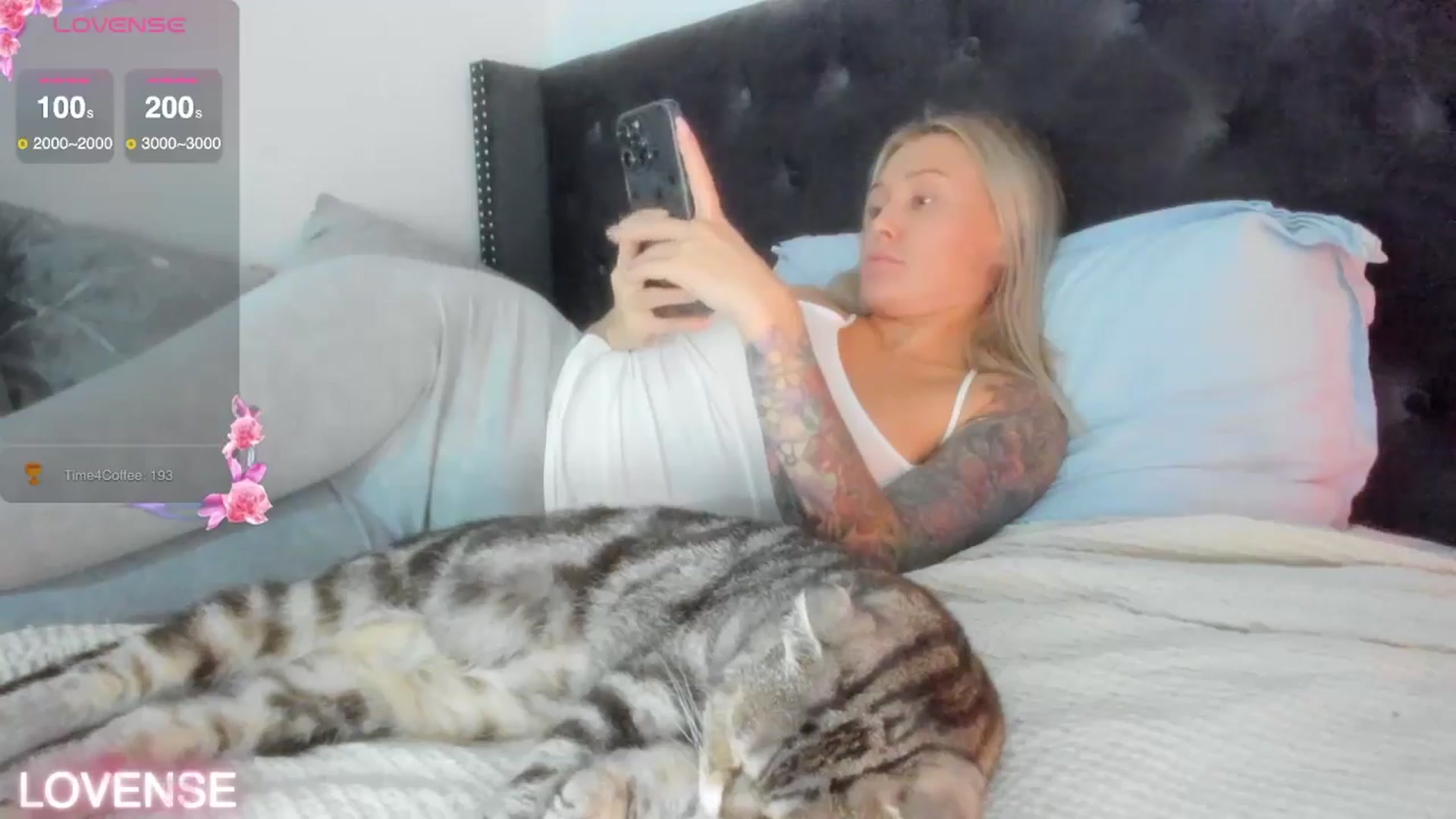 Gallery image thumbnail from AAA_Yas's myfreecams stream on, 11/16/2025, 20:31 image 19 of 20