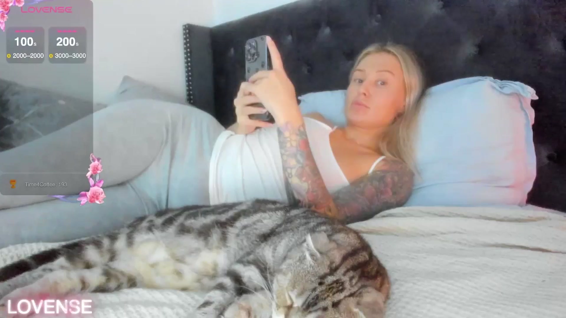 Gallery image thumbnail from AAA_Yas's myfreecams stream on, 11/16/2025, 20:31 image 20 of 20