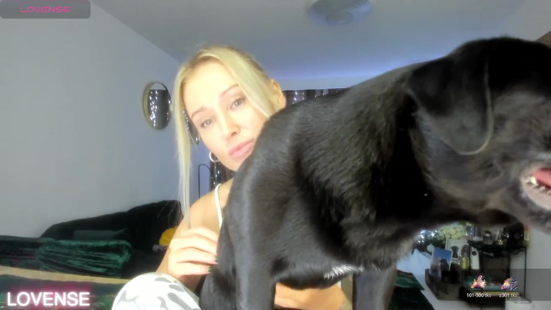 Gallery image thumbnail from AAA_Yas's myfreecams stream on, 12/07/2025, 22:37 image 5 of 20