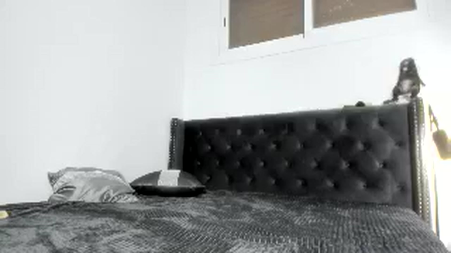 Gallery image thumbnail from AAA_Yas's myfreecams stream on, 01/21/2026, 21:29 image 19 of 20
