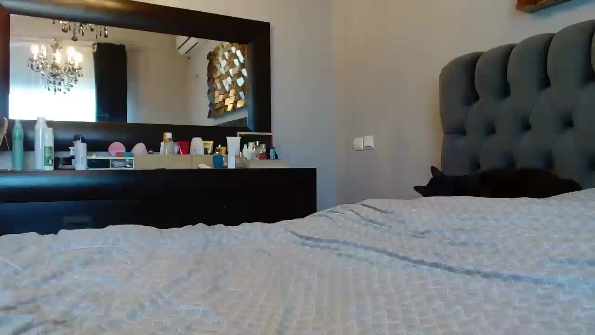 Gallery image thumbnail from ABABAB1's myfreecams stream on, 01/19/2025, 07:33 image 18 of 20