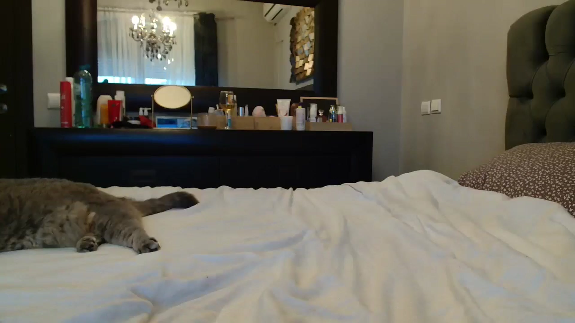 Gallery image thumbnail from ABABAB1's myfreecams stream on, 04/06/2025, 08:34 image 5 of 20