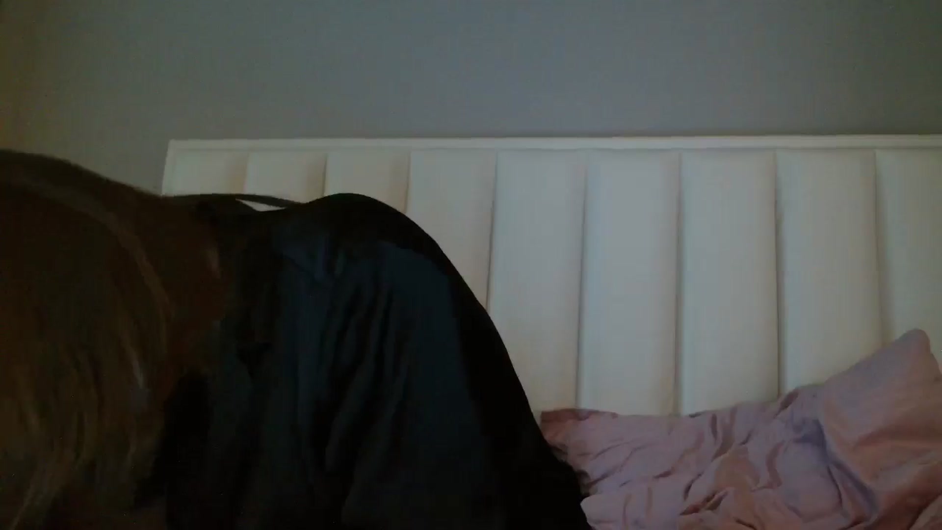 Gallery image thumbnail from ABABAB1's myfreecams stream on, 08/31/2025, 11:53 image 16 of 20