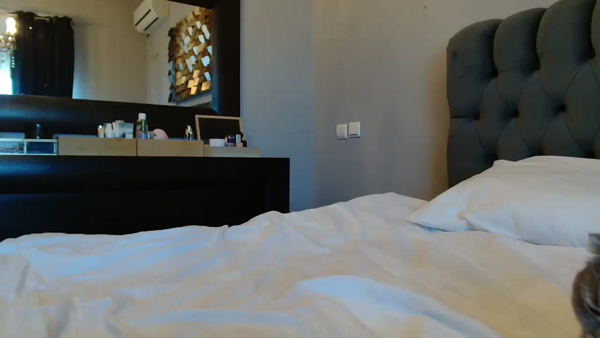 Gallery image thumbnail from ABABAB1's myfreecams stream on, 10/25/2025, 11:31 image 14 of 20