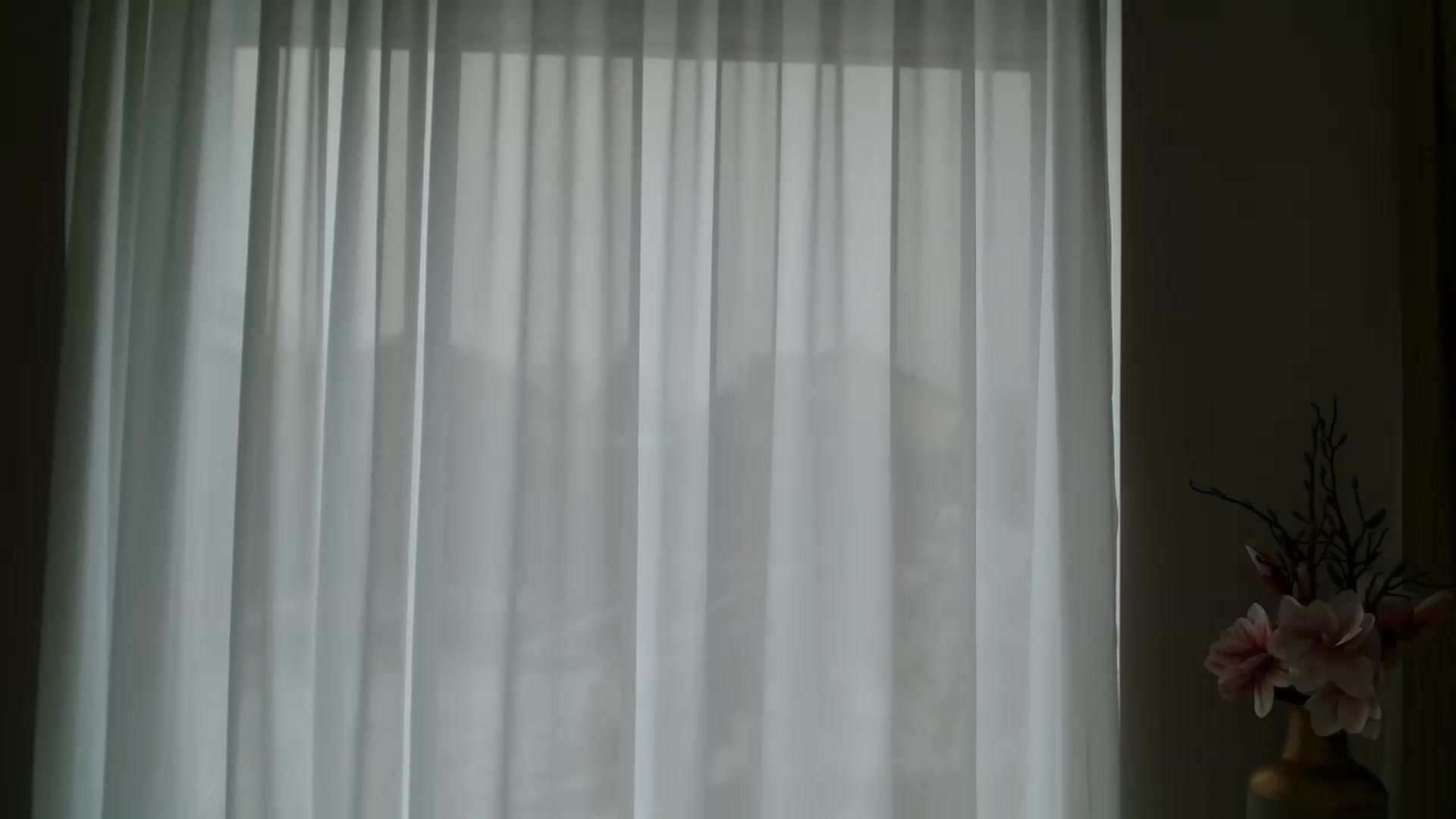 Gallery image thumbnail from ABABAB1's myfreecams stream on, 01/10/2026, 07:50 image 16 of 20