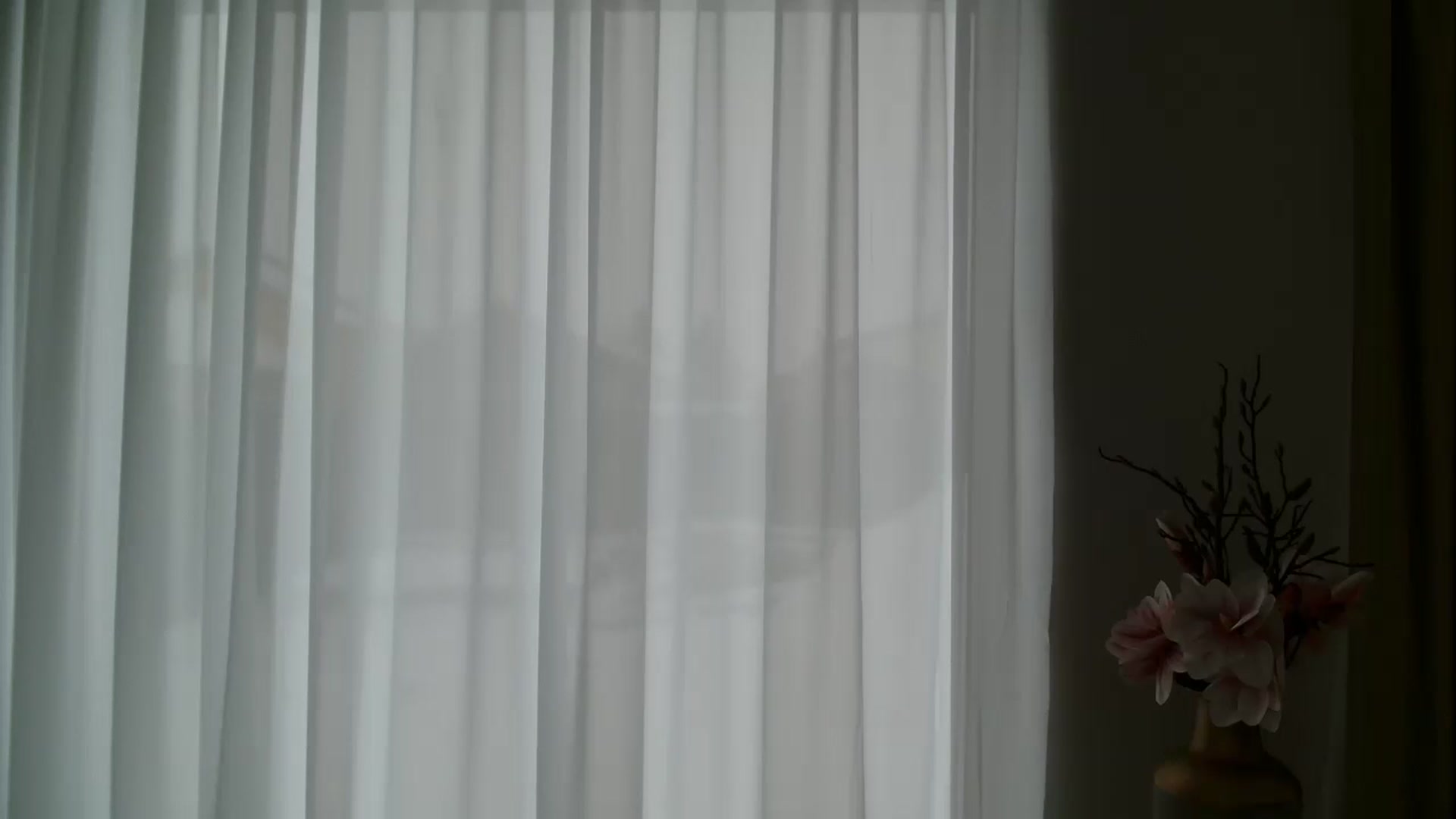 Gallery image thumbnail from ABABAB1's myfreecams stream on, 01/11/2026, 11:56 image 12 of 20