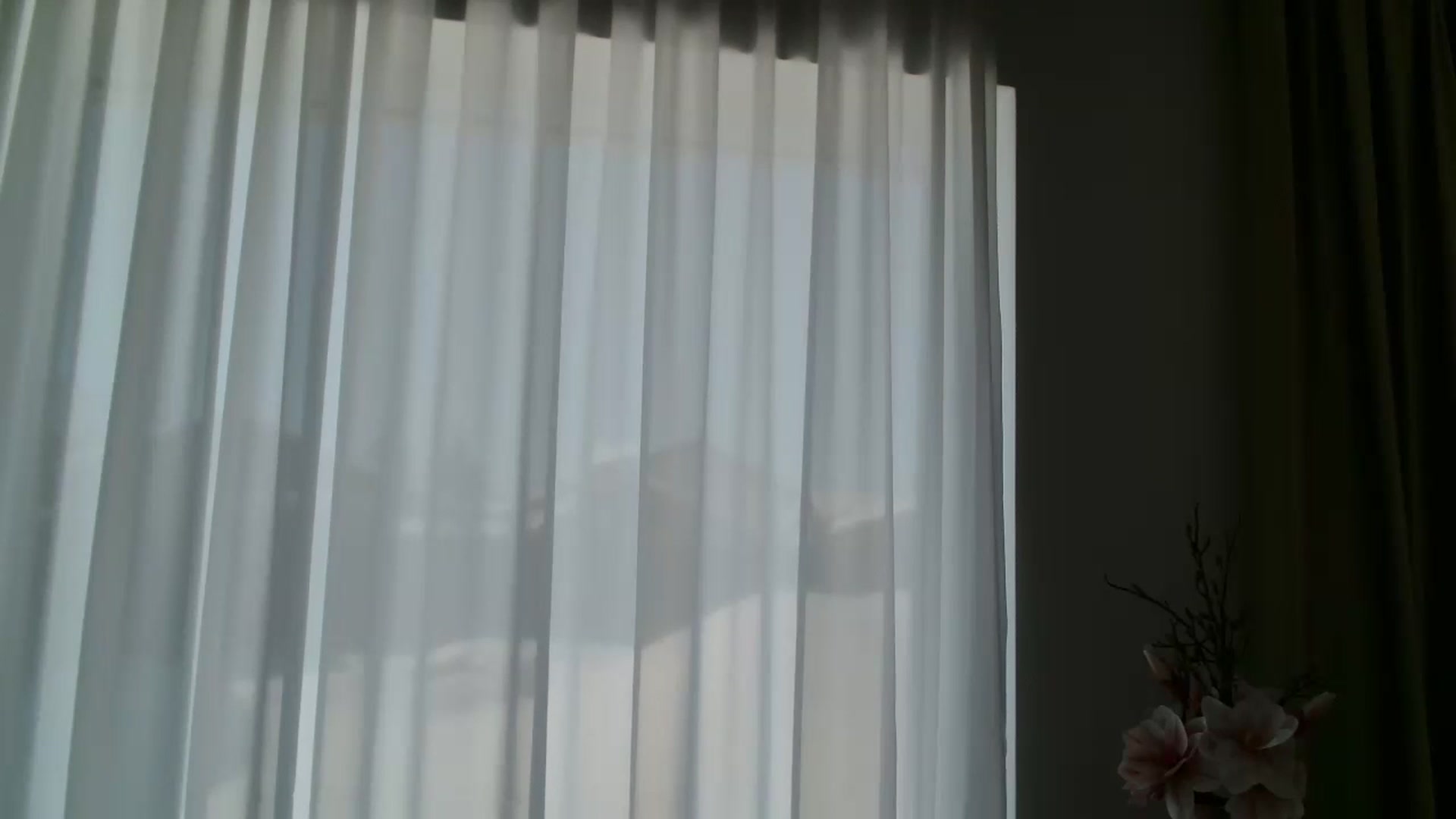 Gallery image thumbnail from ABABAB1's myfreecams stream on, 02/19/2026, 09:05 image 2 of 20