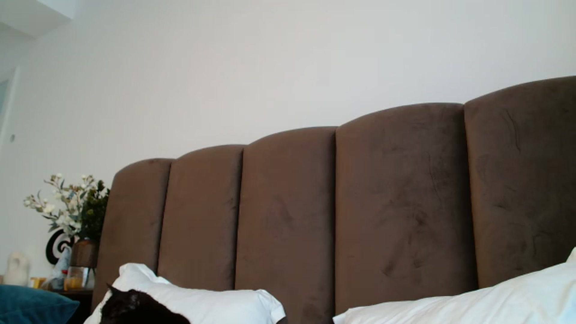 Gallery image thumbnail from ABABAB1's myfreecams stream on, 03/15/2026, 10:14 image 15 of 20
