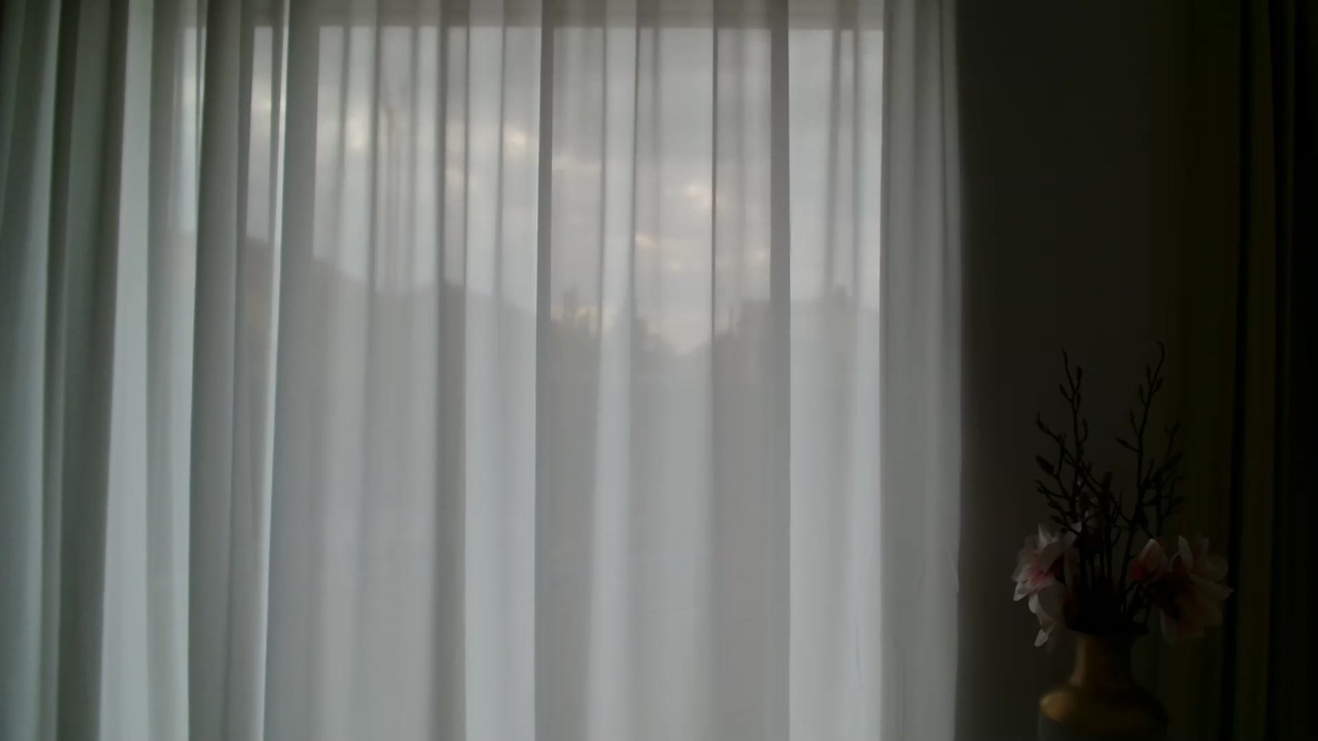 Gallery image thumbnail from ABABAB1's myfreecams stream on, 03/20/2026, 14:55 image 10 of 20