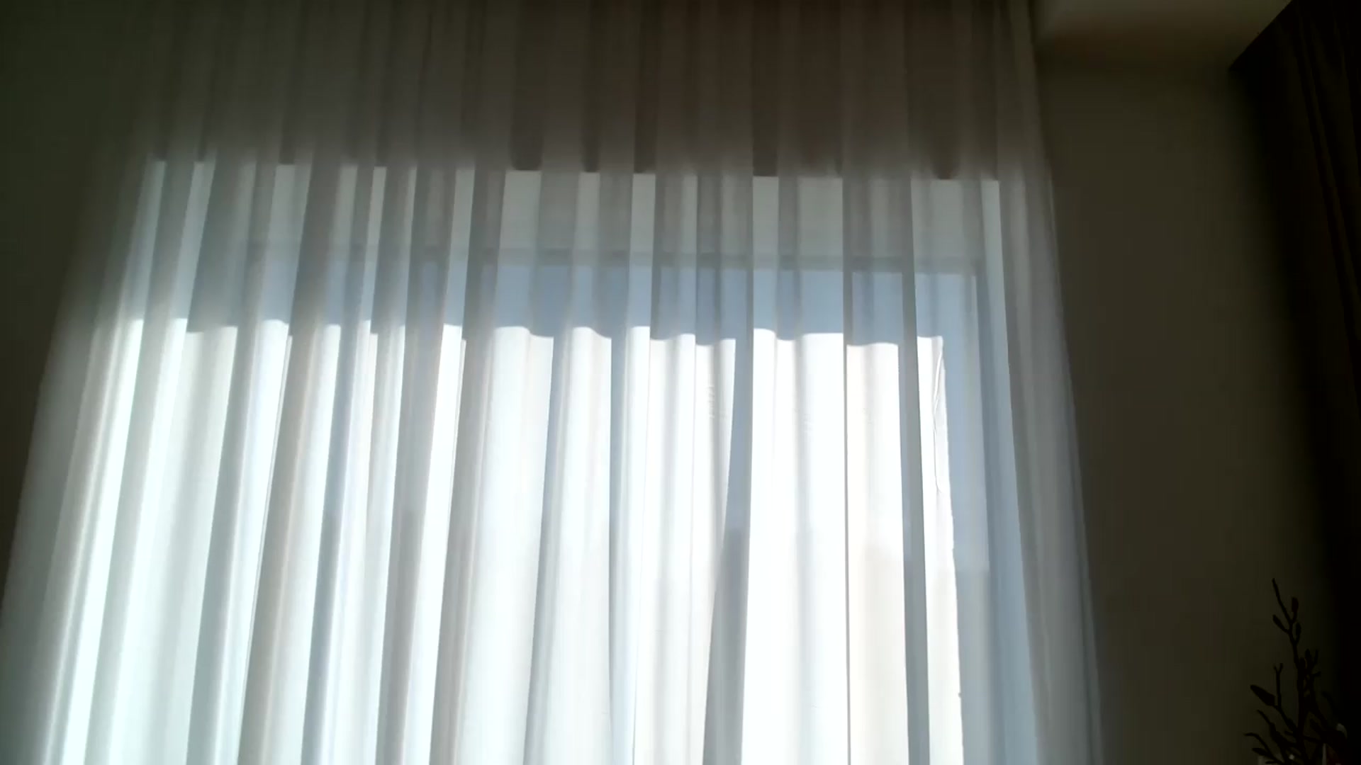 Gallery image thumbnail from ABABAB1's myfreecams stream on, 05/23/2026, 15:46 image 8 of 20