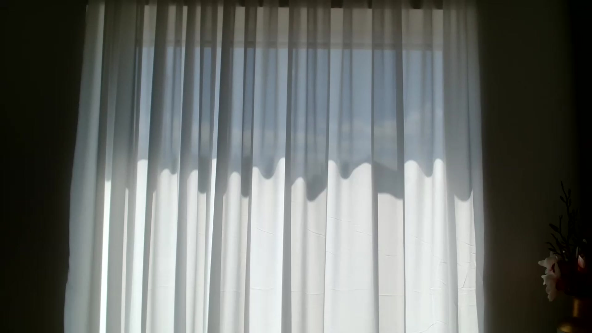 Gallery image thumbnail from ABABAB1's myfreecams stream on, 05/30/2026, 12:33 image 7 of 20