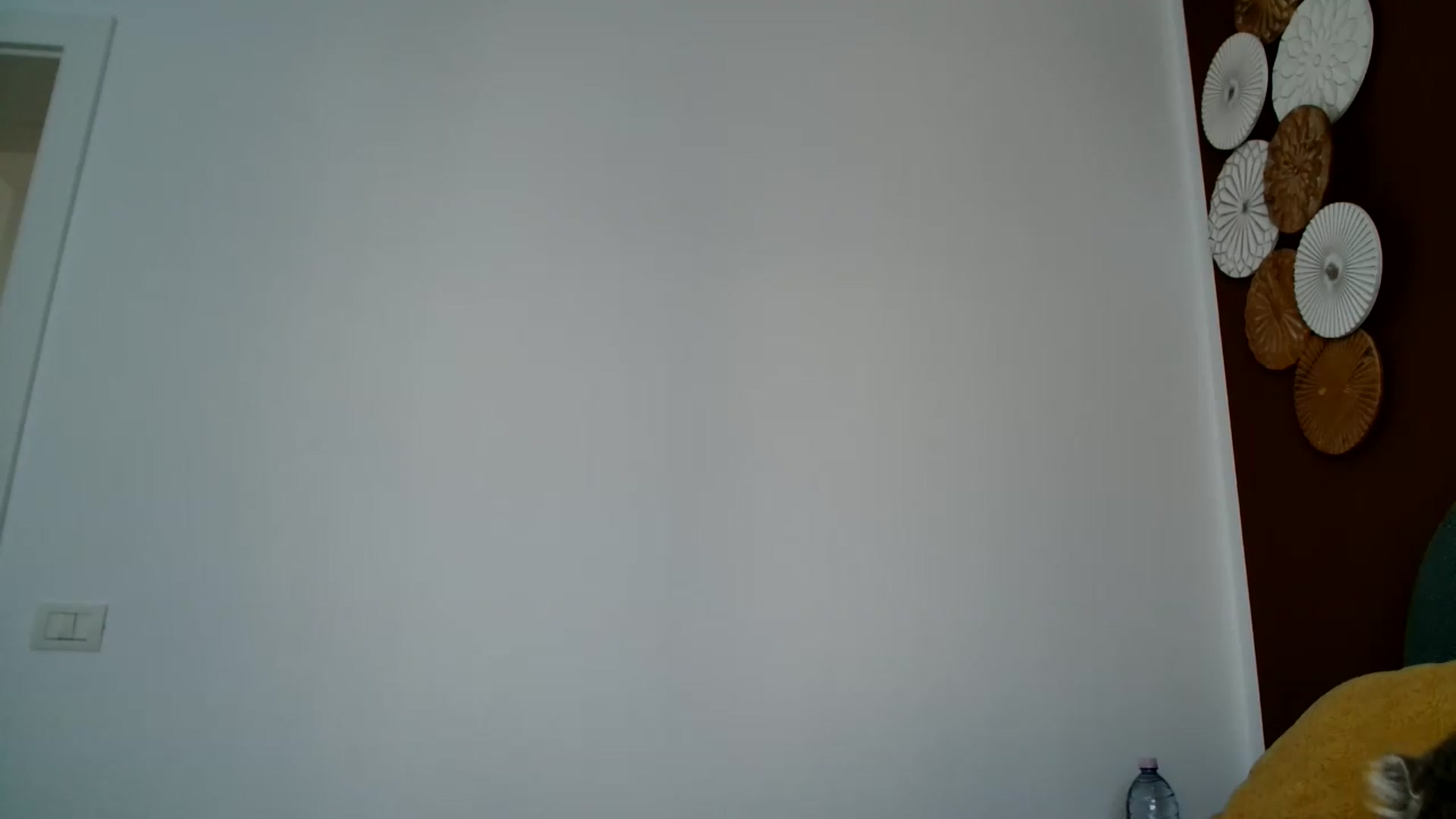 Gallery image thumbnail from ABABAB1's myfreecams stream on, 06/27/2026, 14:51 image 5 of 20