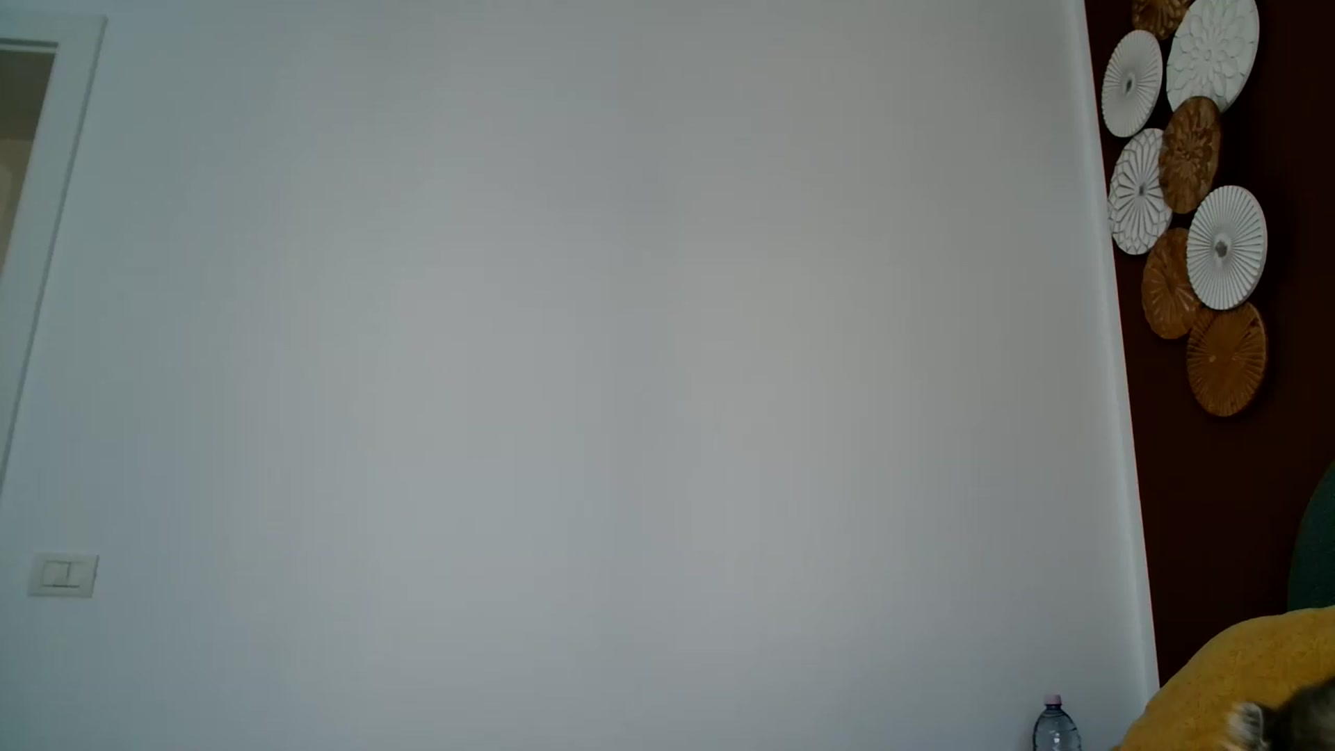 Gallery image thumbnail from ABABAB1's myfreecams stream on, 06/27/2026, 14:51 image 4 of 20