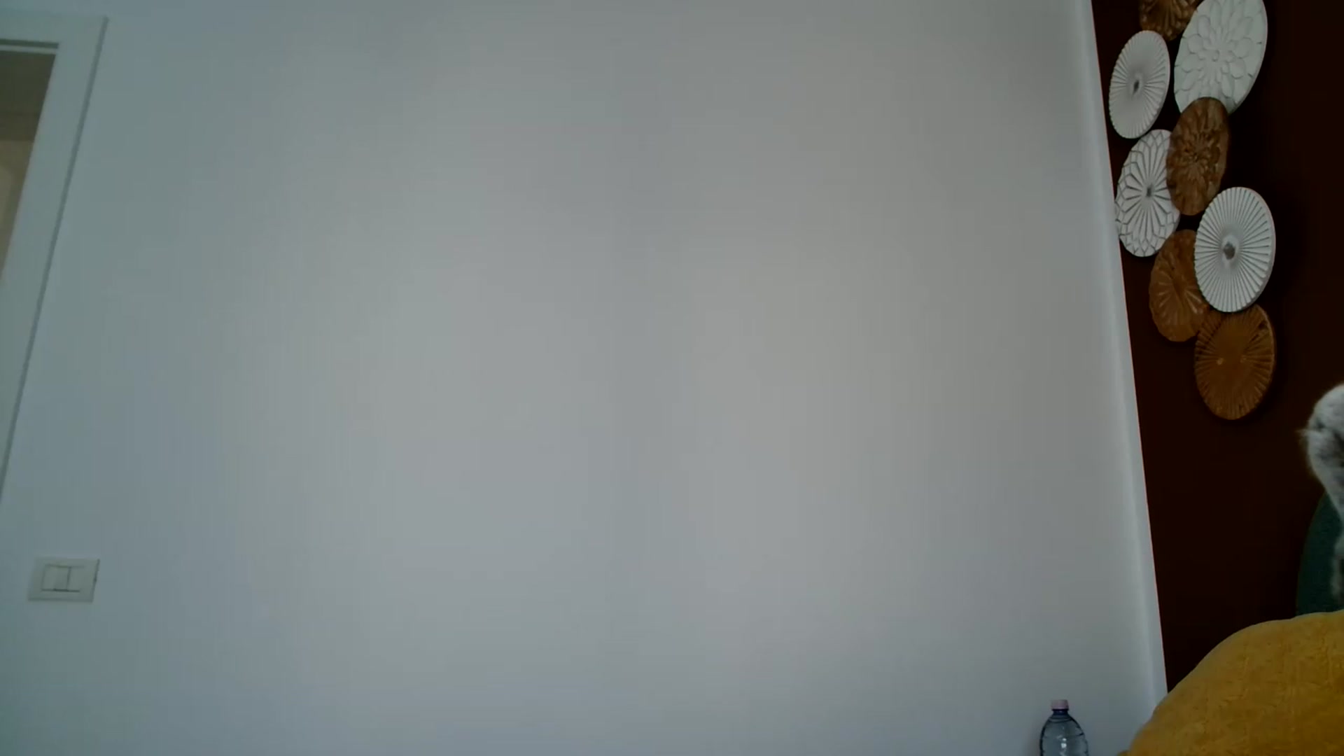 Gallery image thumbnail from ABABAB1's myfreecams stream on, 06/27/2026, 14:51 image 9 of 20