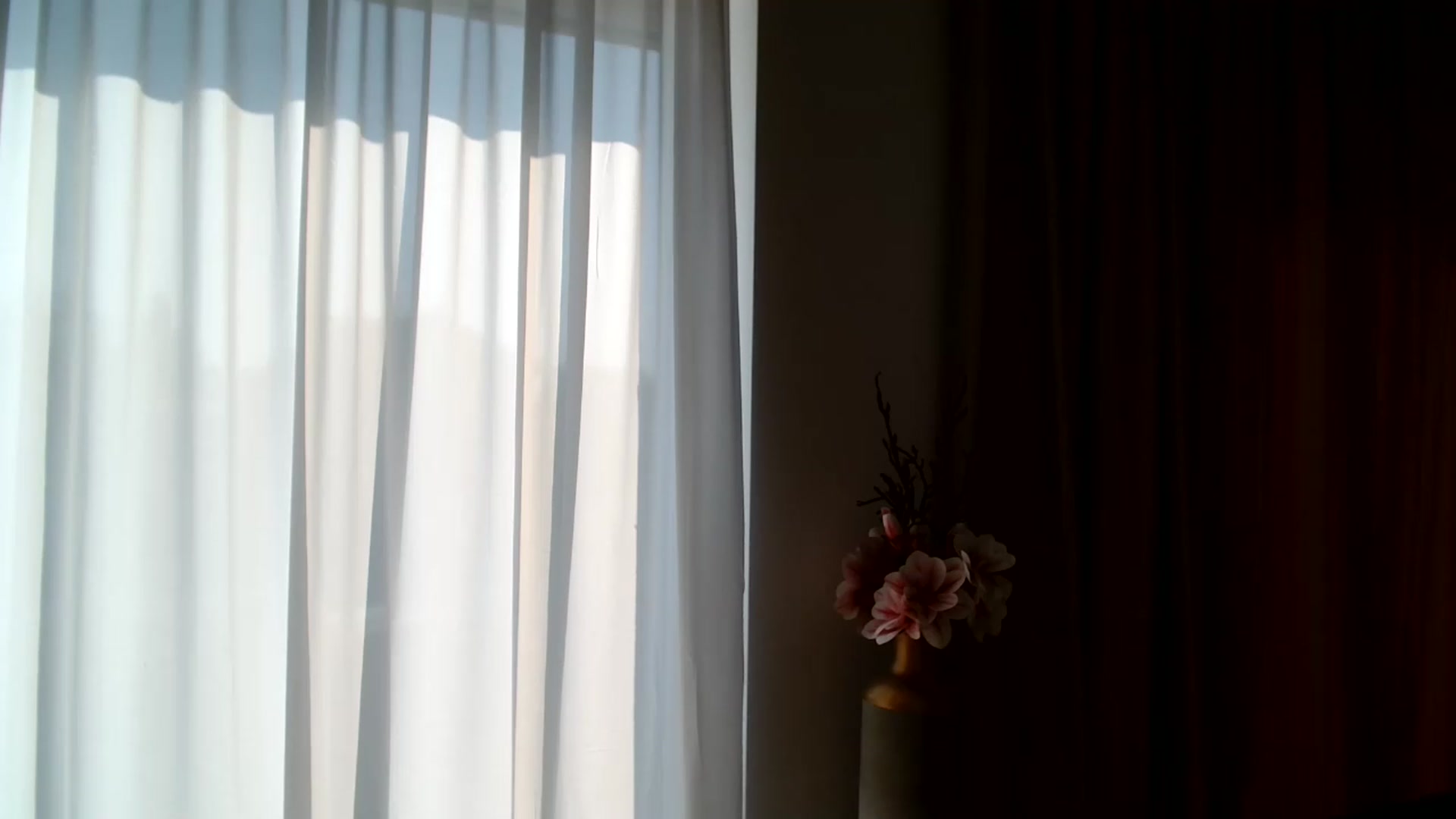 Gallery image thumbnail from ABABAB1's myfreecams stream on, 06/30/2026, 14:51 image 7 of 20