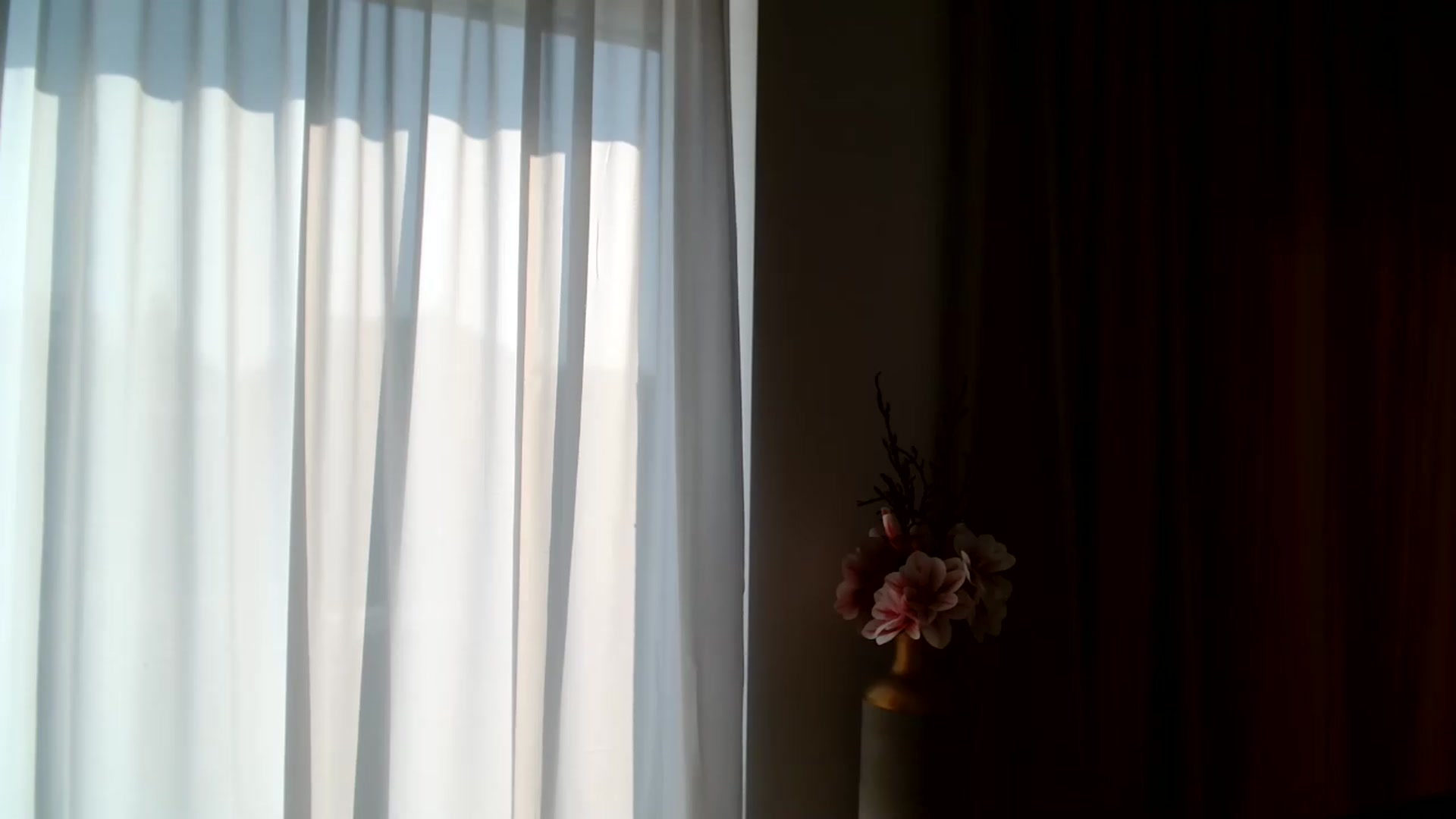 Gallery image thumbnail from ABABAB1's myfreecams stream on, 06/30/2026, 14:51 image 8 of 20