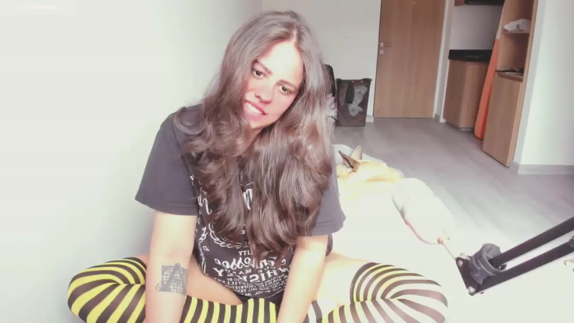 Gallery image thumbnail from ABlackBee's myfreecams stream on, 09/06/2024, 14:02 image 18 of 20