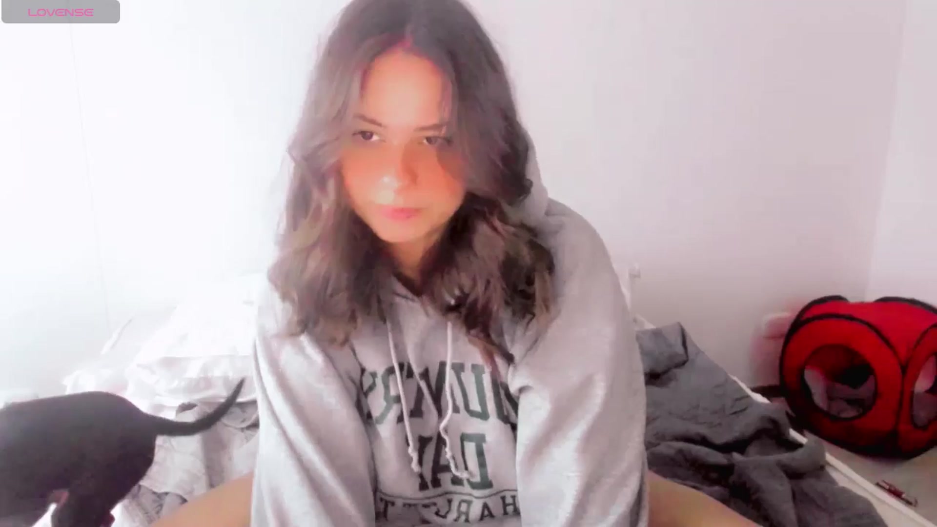 Gallery image thumbnail from ABlackBee's myfreecams stream on, 06/03/2025, 22:59 image 17 of 20