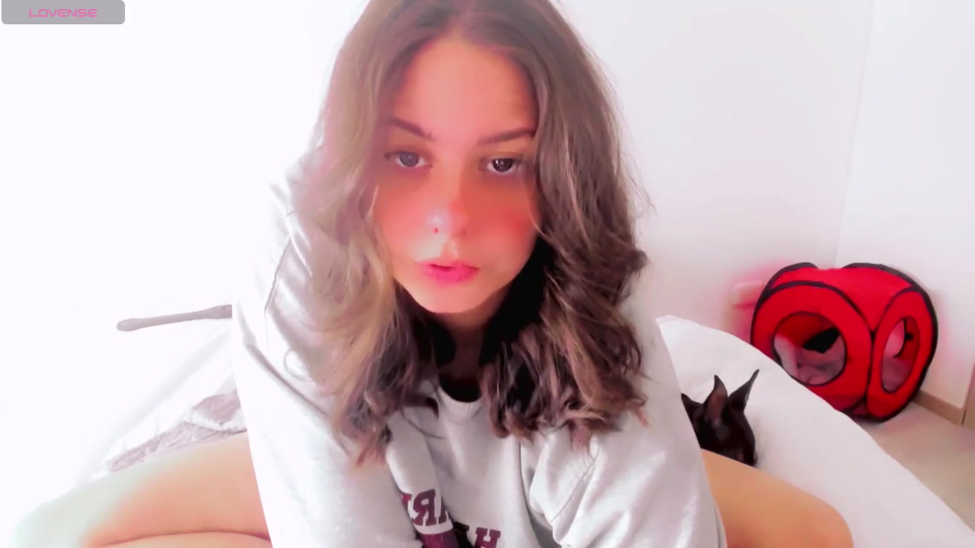 Gallery image thumbnail from ABlackBee's myfreecams stream on, 06/04/2025, 16:27 image 14 of 20